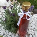 Gibi Cooksnap-ja, amikor elkészítette a(z) Levendula szörp by EdoSmile ❤️ receptet.