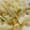 El cooksnap de Amparo&Ari cuando hizo Ensalada de pasta con brócoli y coliflor.