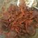 Cooksnap dari Indi Keyvan untuk resep Dendeng Rusa Balado