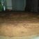 El cooksnap de Rocio Albano cuando hizo Torta de Chocolate.