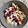 El cooksnap de Ninita Maharai cuando hizo Yogur griego con granada, arroz, miel y nibs de chocolate.