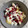 El cooksnap de Ninita Maharai cuando hizo Yogur griego con granada, arroz, miel y nibs de chocolate.