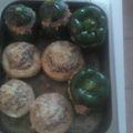 Cooksnap de Einna Pado sur la recette Légumes farcis de #février