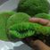 Cooksnap dari Lutfia Nur untuk resep Bika ambon pandan irit No Timbangan