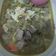 Cooksnap dari Nika untuk resep Tongseng Daging Sapi