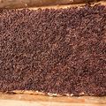 Cooksnap dari deer emili untuk resep Bolu Jadul Potong