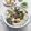 Cooksnap dari Erlina untuk resep Model Gendum khas Palembang