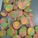 Cooksnap dari bundathiya untuk resep Unicorn cookies gluten free