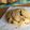 Daniel Englert's cooksnap of when they made Raisin Scones.