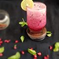 Unnati Desai's cooksnap of when they made દાડમ નો જુસ (Pomegranate Juice Recipe In Gujarati).
