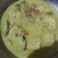 Cooksnap dari Anggii Putrii untuk resep Opor Ayam Telor Tahu No MSG