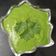 Jayshree Doshi's cooksnap of when they made કોથમીર ની ચટણી (Coriander Chutney Recipe In Gujarati).