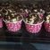 Cooksnap dari Christine untuk resep Chocolate Muffin