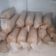 Cooksnap dari Rini Susanti untuk resep Sari Kacang Hijau