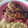 El cooksnap de Claudia Isabel cuando hizo Chuletas de cerdo con glaseado de Teriyaki.