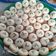 Cooksnap dari Ayuni Rahayu untuk resep Kue Apem Panggang