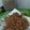 Cooksnap dari Retno Mulyaningrum untuk resep Bawang merah goreng renyah