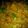 Mumtaz Ramzan's cooksnap of when they made Degi biryani.