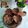 Cooksnap dari Rika Erviana untuk resep Chocolate Chiffon Cup