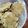 El cooksnap de Yanella Magali Alvarez cuando hizo Galletitas de avena y nestum sin huevo para bebes.