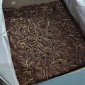 Cooksnap dari Dwi Melani Nova Priliyanti untuk resep 111. Fudgy Brownies