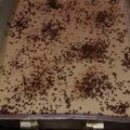 El cooksnap de Soliarkys Martinez cuando hizo Torta casera de vainilla.