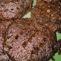 Cooksnap dari Putri Anastasya untuk resep Cookies cocolatos (magicom)