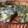 El cooksnap de silfer_270 cuando hizo Tarta de espinacas con queso.