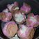 Cooksnap dari Merirka Murhindasari untuk resep Bolu Kukus Mekar by Mikha's Kitchen