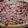 El cooksnap de Juan Israel Ortiz Bustos cuando hizo Kuchen de Nuez (tarta de nuez).