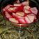 صورة من Um Shady777، شاركها بعد تجربة وصفة حلا كاسات الجلو والمهلبية🍸🍸🍸