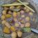 Cooksnap dari Dj Moeth untuk resep Semur telur puyuh kentang utk anak