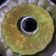 Cooksnap dari Thessie Sindhura untuk resep Chiffon cake sederhana