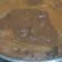 Cooksnap Zuraidah Abu Bakar semasa beliau membuat 👩‍🍳Laksa Penang.