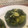 El cooksnap de Florencia Dutra cuando hizo Zapallitos rellenos de espinaca.