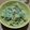 El cooksnap de Silvana cuando hizo Fideos mostacholes con salsa de crema y brocoli.