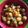 Sumita Roychowdhury's cooksnap of when they made আলুর দম.