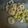 Sarah Tanvi's cooksnap of when they made Bamboo shoot buna:.