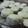 El cooksnap de Analia Chaves cuando hizo Alfajores de Maizena Húmedos (SIN MANTECA).
