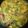 Vijayalakshmi Velayutham's cooksnap of when they made ரசம் (Rasam recipe in tamil).