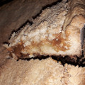 El cooksnap de luxy cuando hizo Tarta de coco con dulce de leche.