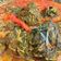 Cooksnap dari arsalan untuk resep Buntil daun singkong