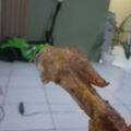 Cooksnap dari Winda untuk resep Tori no teba homemade ala hokben (sayap ayam isi tanpa tulang)