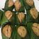 Cooksnap dari wita untuk resep Apem pisang gula merah