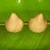 ushma prakash mevada's cooksnap of when they made મુઠીયા ના મોદક (Muthia Modak Recipe In Gujarati).