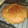El cooksnap de Samyaa cuando hizo Bizcocho esponjoso de limón Thermomix.