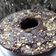 Cooksnap dari "Pawoen_vadyl" untuk resep Chewy Brownies shiny (otang/no mixer)
