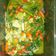Cooksnap dari Bella Vlinder untuk resep Cah Kangkung belacan pedas