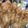 Cooksnap dari Santy Nurul 2 untuk resep Sempol Ayam