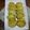 Cooksnap dari Teh Yanithea untuk resep 호박전 Hobak Jeon (Pan-fried Zucchini)